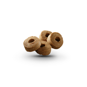 Cinnamon Cookies with clove & nutmeg Piece
