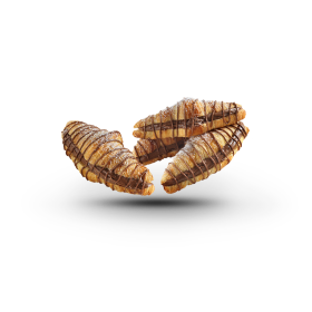 g10013165 0