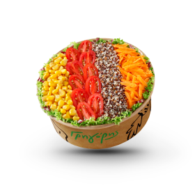 Vegan Salad with Tricolor Quinoa