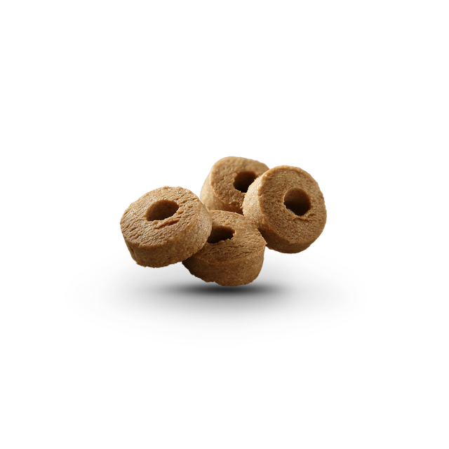 g10012595 0